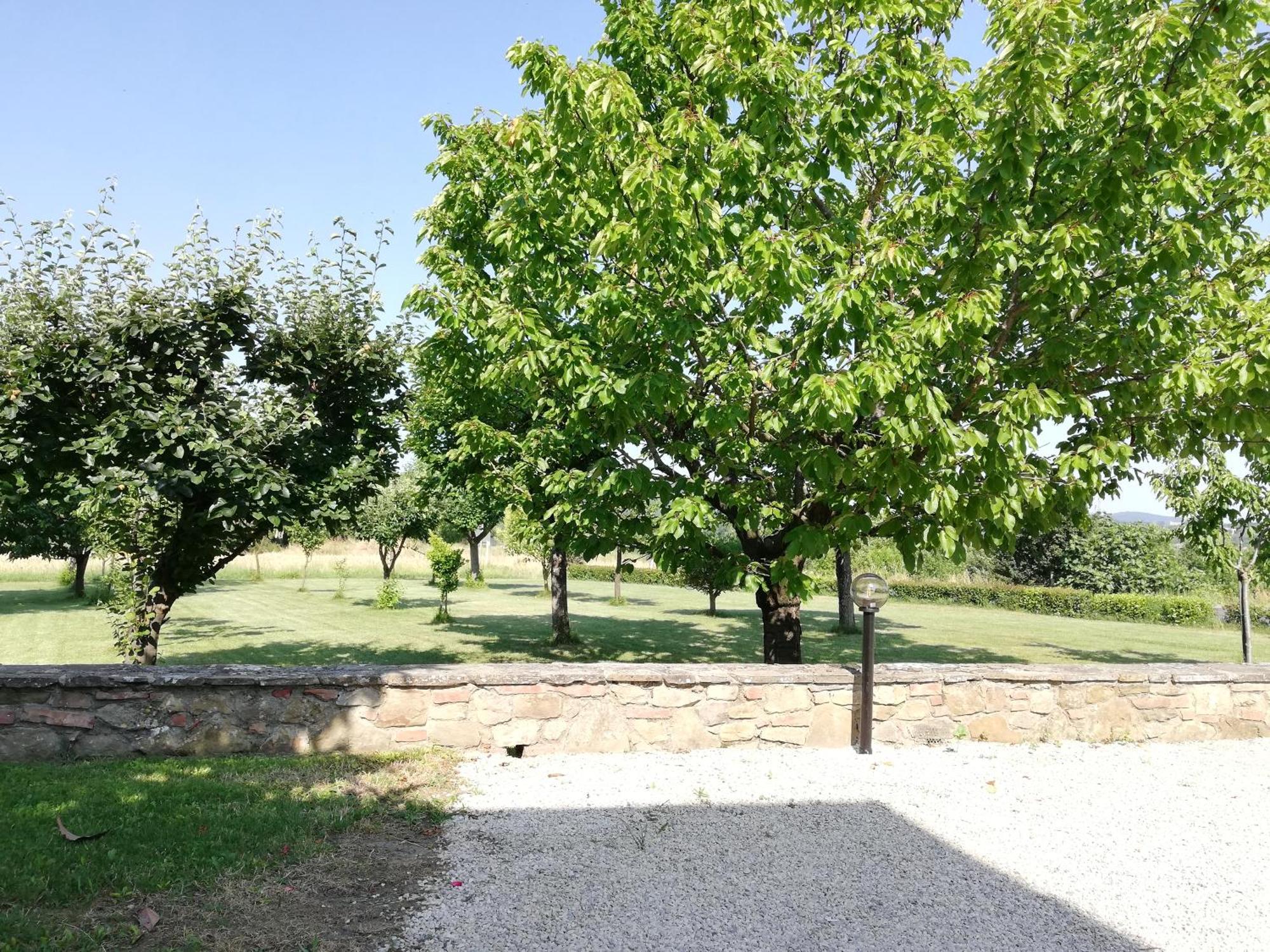 Il Papavero Verde Lucignano Exterior foto